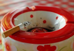 Grillez la dernière avant le 31 mai avec l'aide de la Ligue pulmonaire vaudoise et l'Association suisse contre le tabagisme. PIXABAY/REPUBLICA Grillez la dernière avant le 31 mai avec l'aide de la Ligue pulmonaire vaudoise et l'Association suisse contre le tabagisme. PIXABAY/REPUBLICA