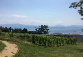 Un petit coin de paradis au cœur de la ville. dr