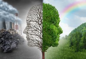 environment_change_and_g_69869.jpg