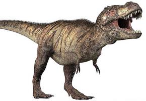 Les répliques des dinosaures seront visibles au Malley. DR Les répliques des dinosaures seront visibles au Malley. DR
