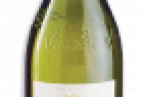 image-vin.jpg