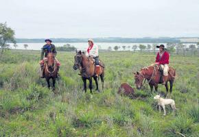 Les gauchos, emblématiques des pampas argentines.