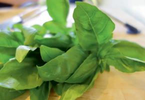 Tagliatelle maison au pesto d’épinard