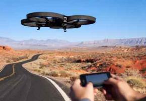 Drones d’oiseaux! Drones d’oiseaux!