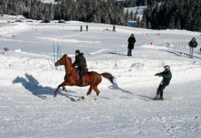 Skijöring à Château-d’Oex Skijöring à Château-d’Oex
