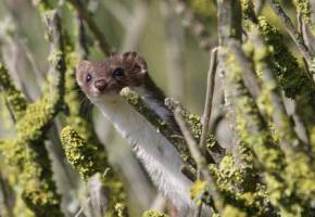 Faire la fête à la nature