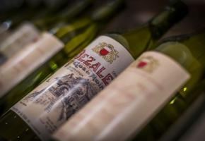 vins_lausanne.jpg