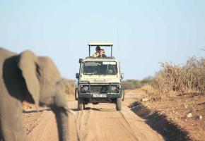 Le paradis des safaris.