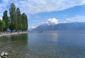 CON_1048240_1788_A.jpg