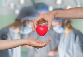 Sans mesures d’accompagnement, le consentement présumé ne suffira pas à résorber la pénurie d’organes. 123RF Sans mesures d’accompagnement, le consentement présumé ne suffira pas à résorber la pénurie d’organes. 123RF