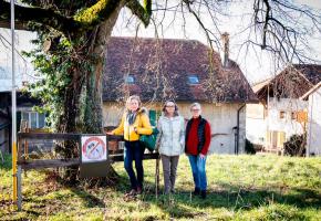 Marinette Wannaz, Laurence Godat et Isabelle Naggar, membres des Amis de Corsy, posent devant le tilleul qui risque d’être abattu.