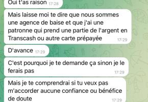 Extrait d’une discussion avec l’un des cyberescrocs.FNT