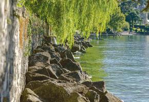 Marcher sans entraves tout le long du lac Léman est aujourd’hui encore chose impossible. DR