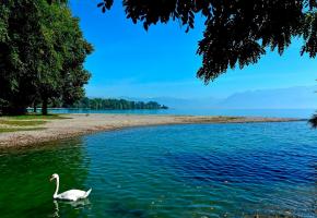 La qualité de l’eau de la plage de la Chamberonne est jugée bonne à moyenne. DR La qualité de l’eau de la plage de la Chamberonne est jugée bonne à moyenne. DR