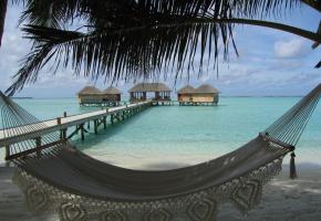  Les Maldives ont tout pour concrétiser le fantasme du Robinson choyé. Le club Subsix de Niyama est la première disco sous-marine. L’équipement du Niyama se veut résolument contemporain.