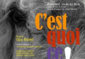  C’est quoi ce cirque!  dr