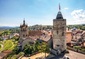 ADOBESTOCK ADOBESTOCK