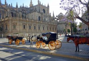 On ne saurait visiter Séville sans tester ses calèches. L’Alhambra à Grenade est l’un des monuments majeurs de l’architecture islamique. Merida est célèbre pour ses vestiges romains et médiévaux.. 