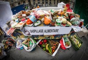 Chaque jour, des millions de tonnes de nourriture sont jetés. DR