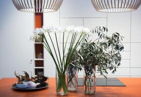 Habitat-Jardin accueille chaque année des dizaines de milliers de visiteurs. DR