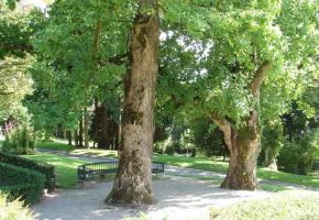  Parc de Mon Repos