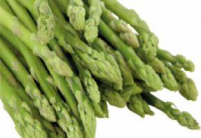 L’asperge verte vaudoise L’asperge verte vaudoise