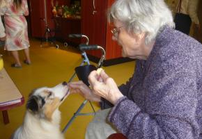 Aide Seniors Animaux ouvre une antenne Aide Seniors Animaux ouvre une antenne