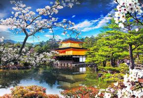 Le Pavillon d’Or de Kyoto et un mariage traditionnel nippon à Tokyo. Histoire & Voyages