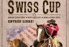  Amag Team Penning Swiss Cup. DR