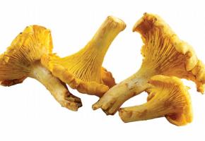  Poêlée de chanterelles aux gambas et palourdes. DR
