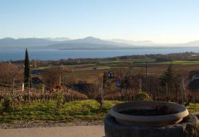 Le Domaine de Penloup bénéficie d’une vue splendide sur le Léman. DR