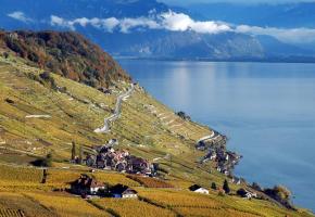 Lausanne et le canton de Vaud sélectionnés par le New York Times Lausanne et le canton de Vaud sélectionnés par le New York Times