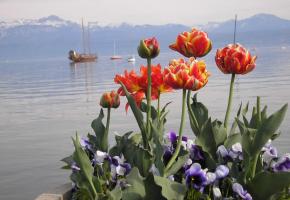 Le lac, un allié pour le développement durable? A Morges on y croit. dr Le lac, un allié pour le développement durable? A Morges on y croit. dr
