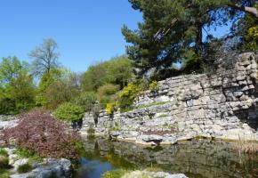 Jardin botanique