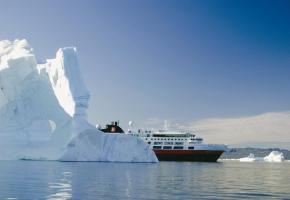 On recense huit espèces de manchots en Antarctique.