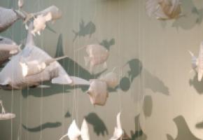 Nuage de poissons
