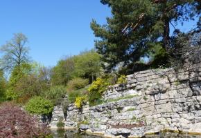  Jardin botanique