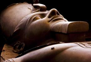 Les pharaons & les animaux désertiques