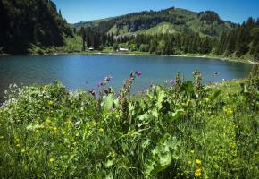 Lac de Chavaonnes