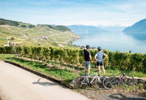 Ce tour permet d’admirer la vue imprenable sur les vignobles de Lavaux. GRABET Ce tour permet d’admirer la vue imprenable sur les vignobles de Lavaux. GRABET
