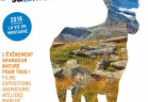 «La Salamandre, un festival cousu main!» 