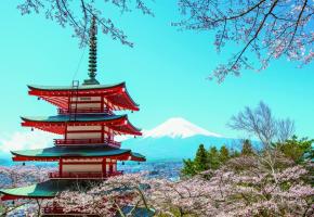 Le fameux mont Fuji en arrière-plan.  