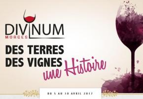 Divine surprise pour le Salon Divinum Divine surprise pour le Salon Divinum