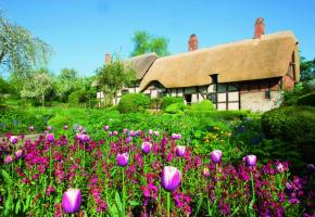 Stratford reflète l’amour de Shakespeare pour la nature. Le domaine princier de Bleinheim a été conçu entre 1705 et 1722. D’origine médiévale, Kenilworth était connu pour ses douves. Highclere fascine tous les fans de «Downtown Abbey». 