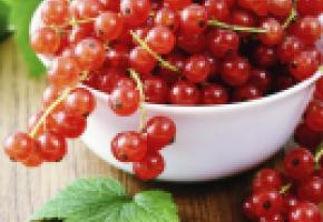 Les baies, aliments de l’été par excellence Les baies, aliments de l’été par excellence