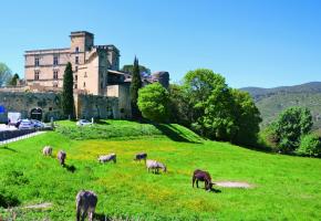 Le château de Lourmarin. A. BOSSU