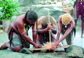 Premiers hommes sur le sol australien, les Aborigènes l’occupent depuis au moins quarante mille ans. Le plus grand récif corallien du monde compte plus de 2900 récifs et 900 îles. La Grande barrière de corail, fabuleux écosystème inscrit au Patrimoine de l’Unesco. La forêt pluviale, plus grande concentration d’espèces témoins de l’évolution des plantes, marsupiaux et oiseaux. 