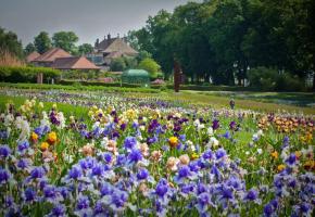  A Vullierens, la magie de l'art et des fleurs 