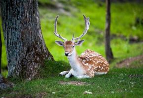  Fêtez la Nature dans toute sa splendeur