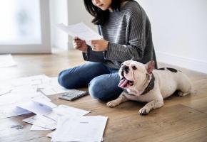 Certaines voix s’élèvent pour abolir une taxe pas si indolore. 123RF
